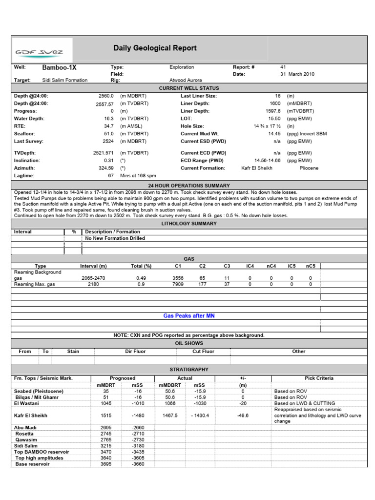 10.3.2.2.39 Bamboo 1X - 100331 - DGR - 2560m | PDF | Earth Sciences