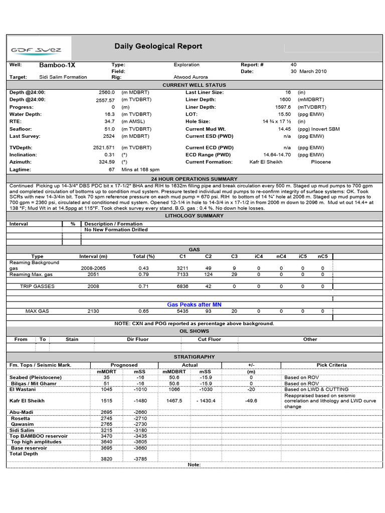 10.3.2.2.38 Bamboo 1X - 100330 - DGR - 2560m | PDF | Earth Sciences ...