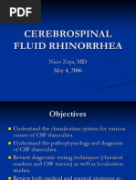 05 04 06 Cerebrospinal Fluid Rhinorrhea | PDF | Cerebrospinal ...
