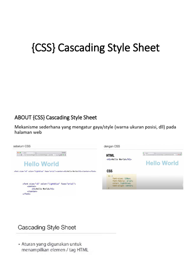 Panduan Dasar CSS untuk Pemula | PDF