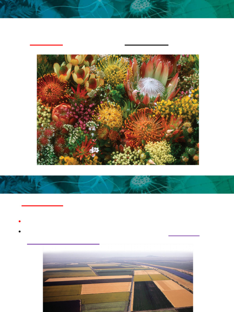 Bio Lec Notes+20 4 | PDF