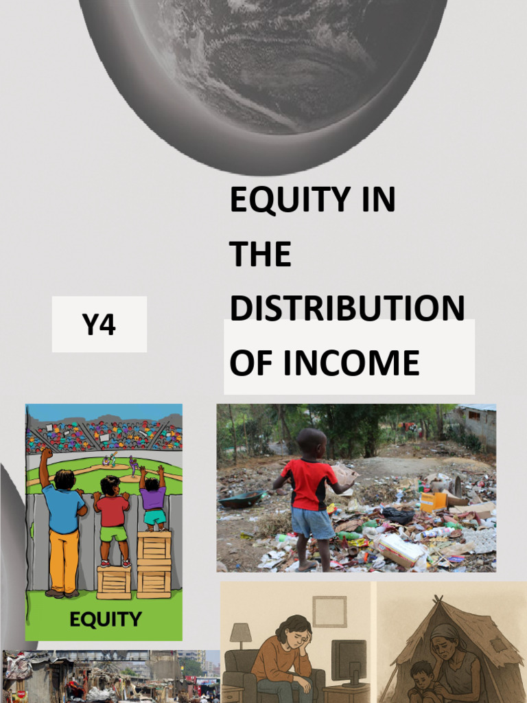 Income Distribution Equity Explained | PDF | Cost Of Living | Taxes