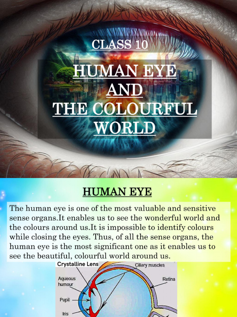 Human Eye: Structure and Vision | PDF | Eye | Human Eye