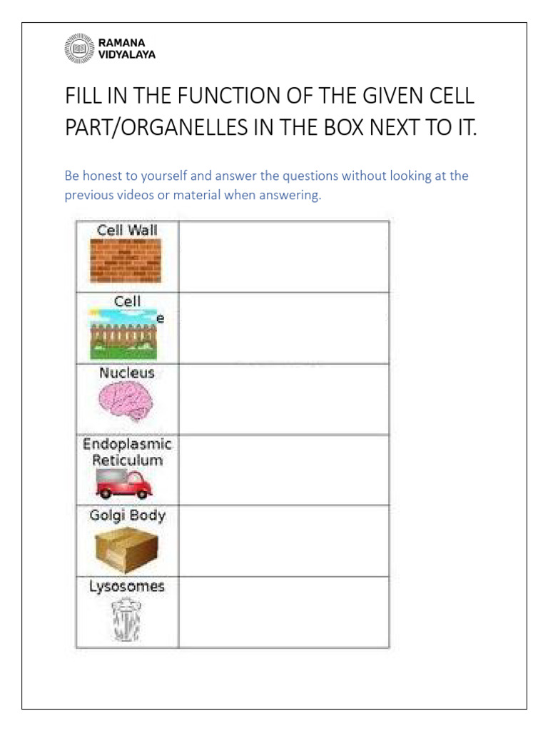 Cell Functions in Grade 9 Biology | PDF