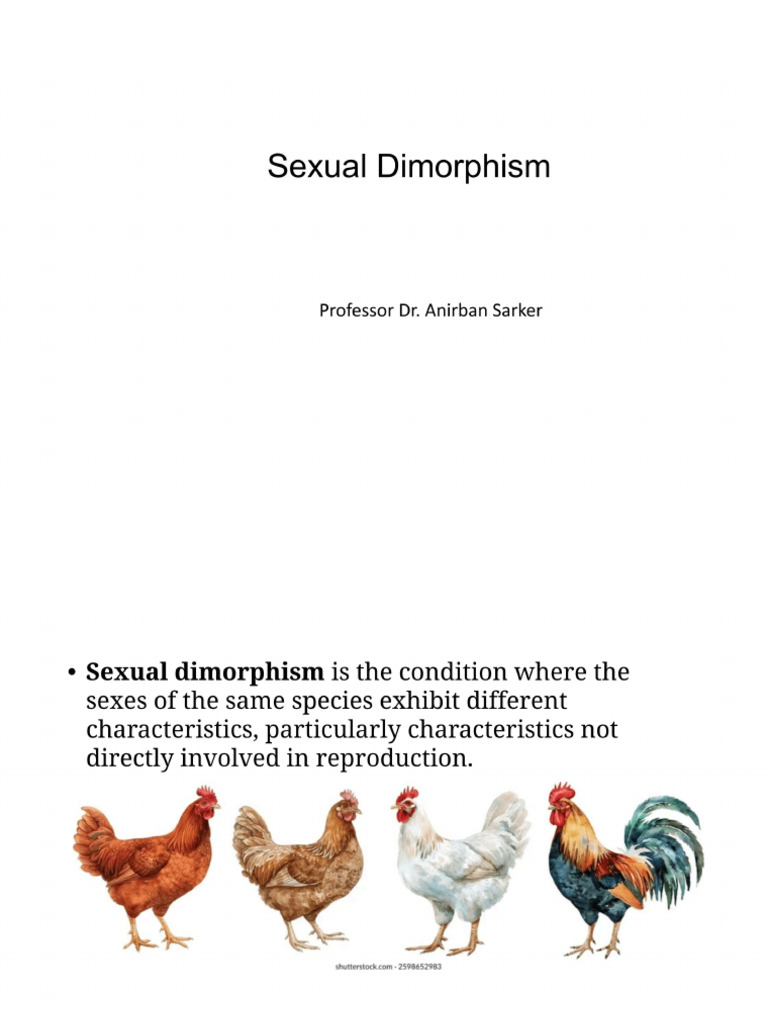 Sexual Dimorphism | PDF