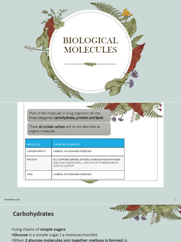 Understanding Biological Molecules | PDF | Carbohydrates | Dna