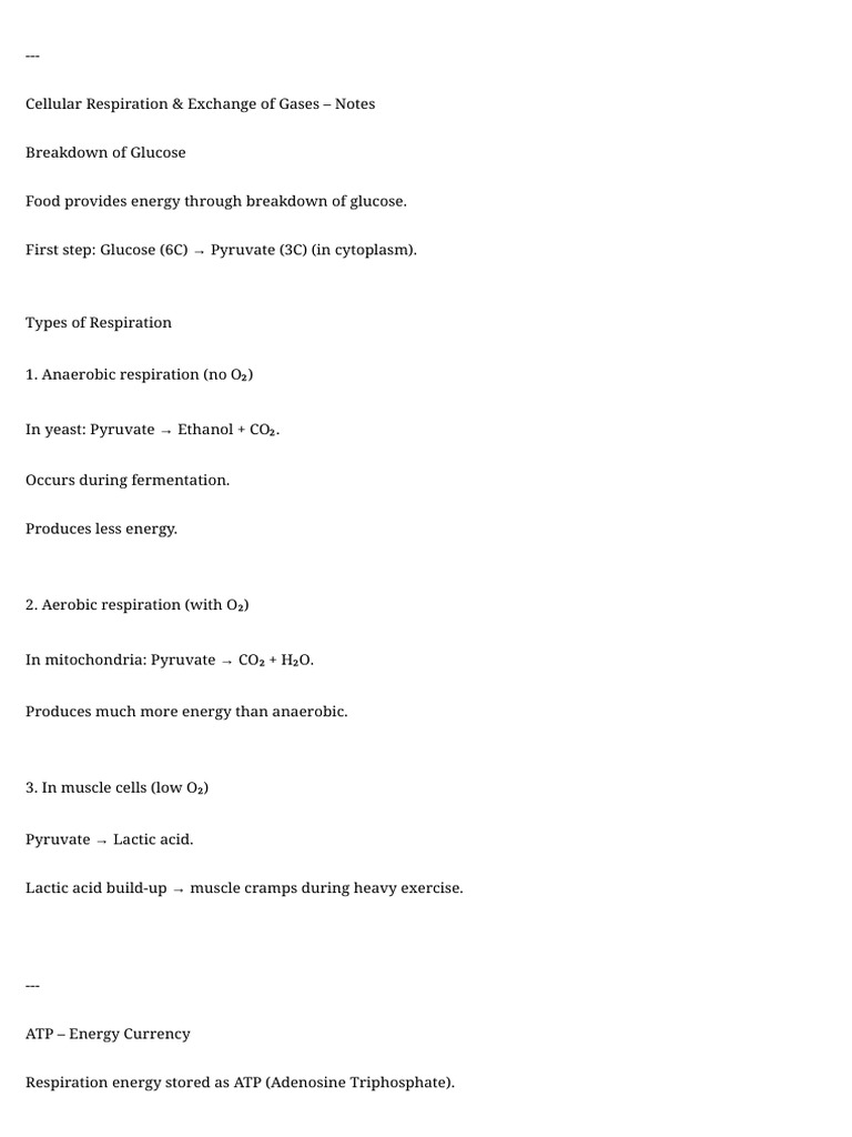 Respiratory system visual data 3