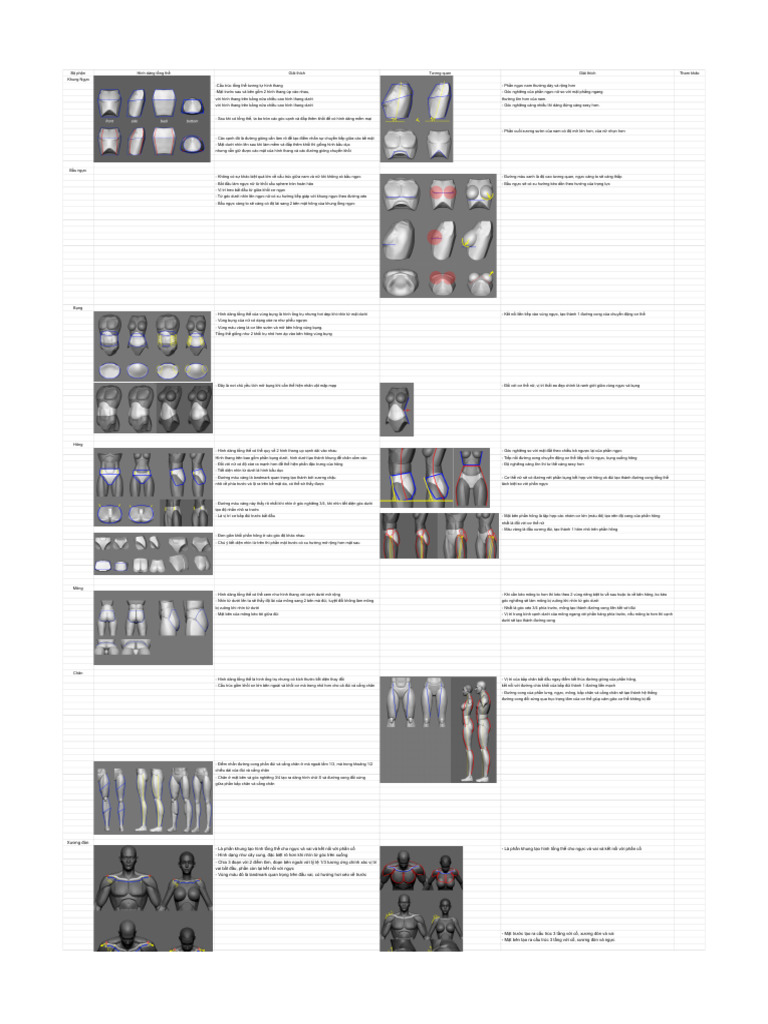 Anatomy Body Checklist | PDF