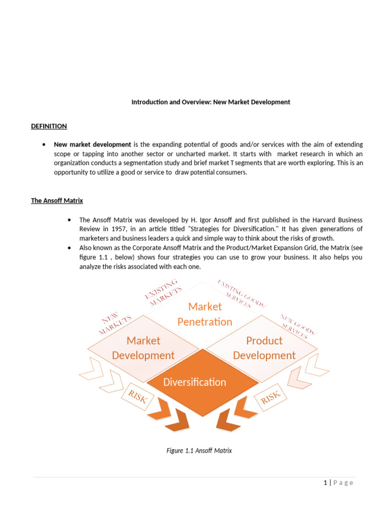 New Market Development Strategies Guide | PDF | Marketing | Target Audience