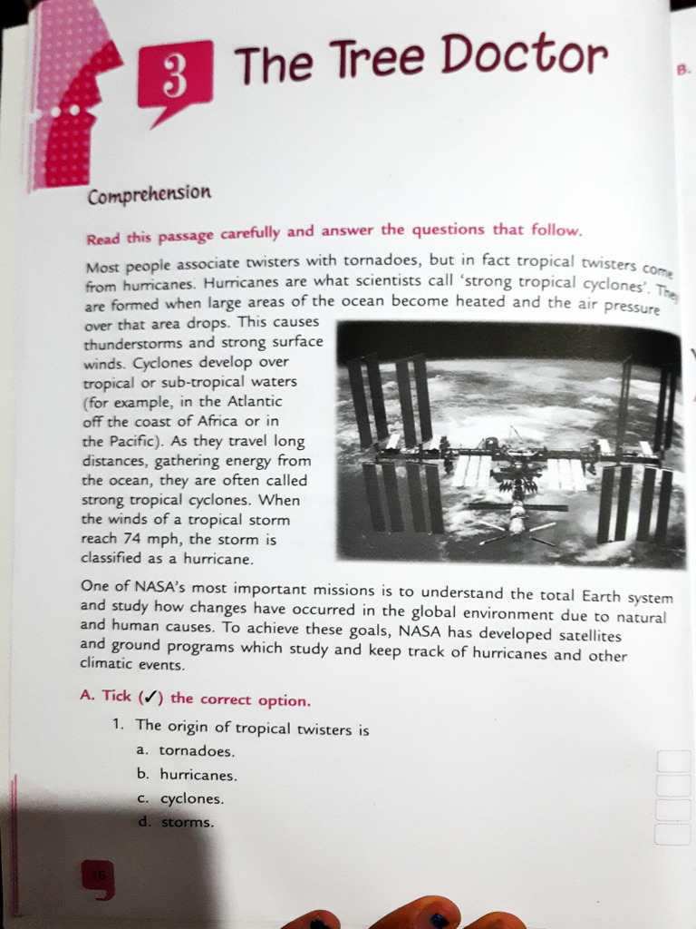 English Workbook Chapter 3 | PDF