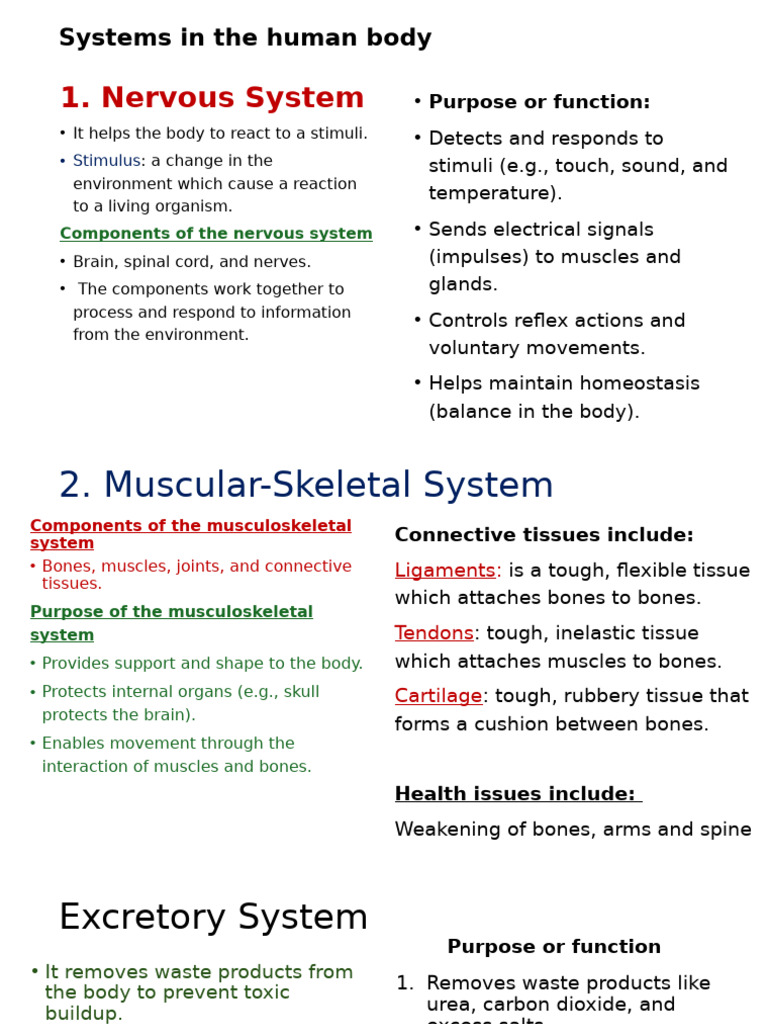 Overview of Human Body Systems | PDF | Human Body | Human ...