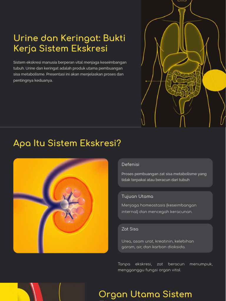 Urine Dan Keringat | PDF