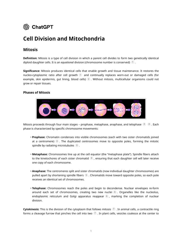 Cell Division: Mitosis and Meiosis Explained | PDF | Mitosis | Meiosis
