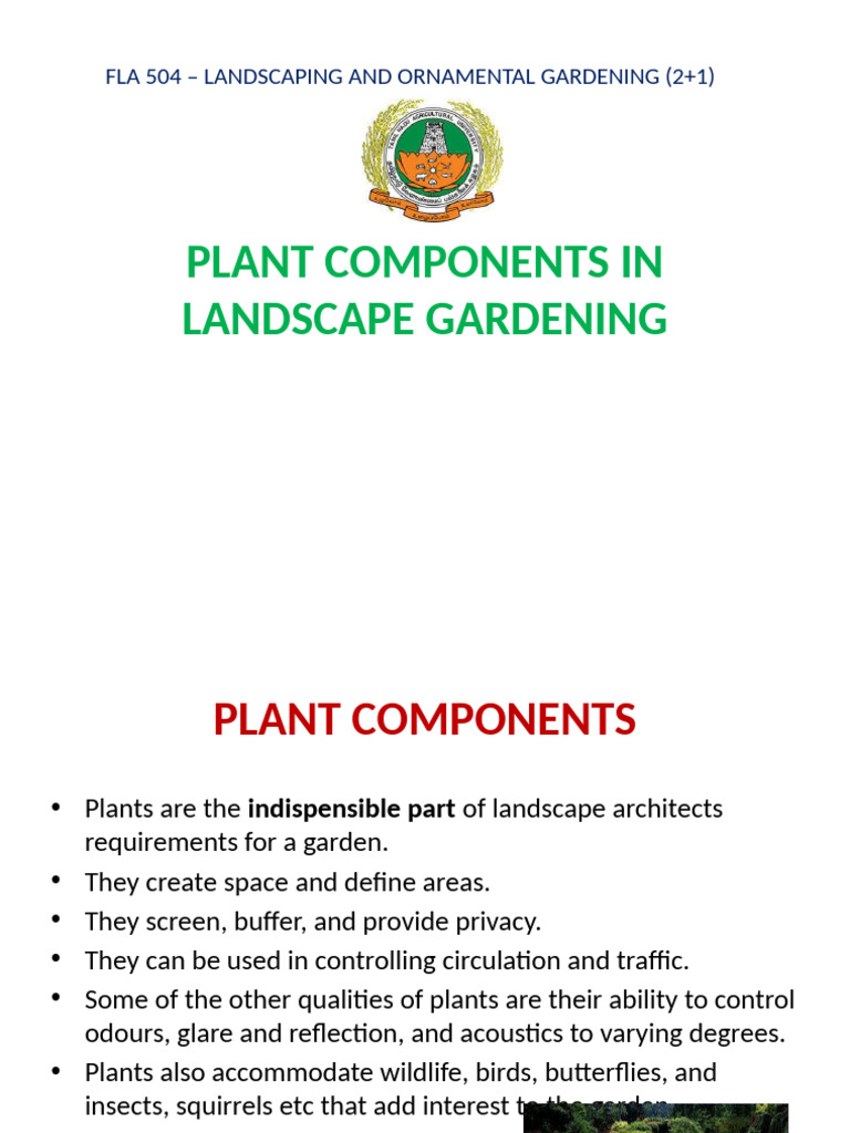 Key Plant Components for Gardens | PDF | Arecaceae | Shrub