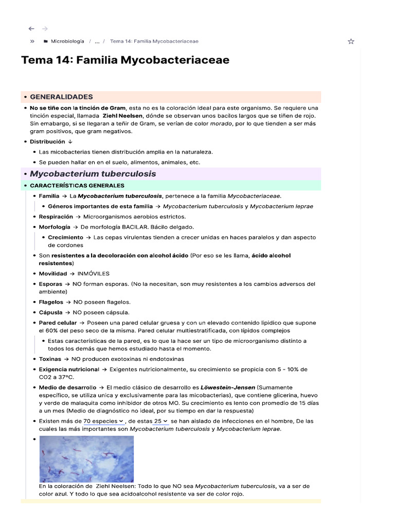 tema-14-familia-mycobacteriaceae-pdf
