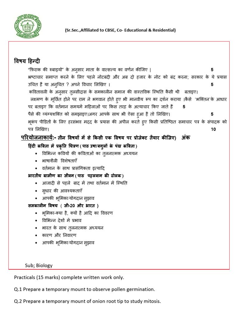 Class 12 Capacitor Project Guidelines | PDF | Capacitor | Capacitance