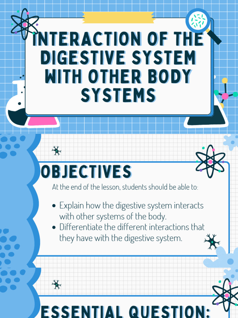 Interaction of The Digestive System With Other Body Systems | PDF ...