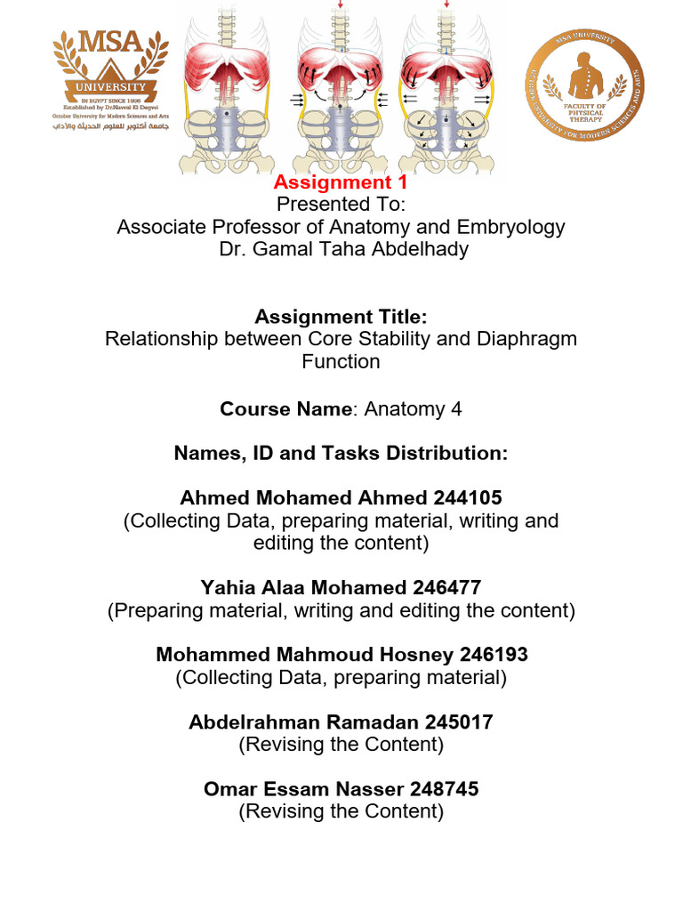 Core Stability and Diaphragm Function | PDF | Abdomen | Breathing