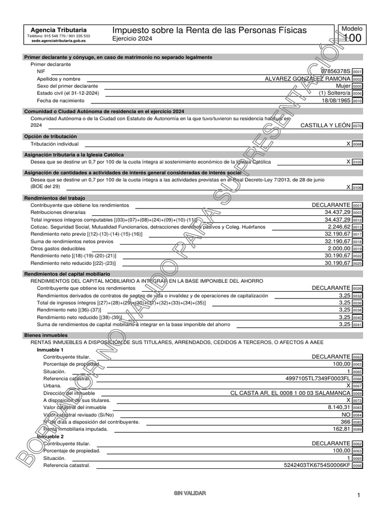 Declaración IRPF 2024: Modelo 100 | PDF | Bienes raíces | Impuestos