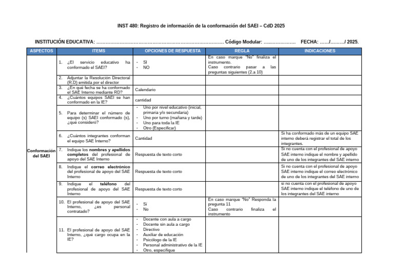 INST 480_CONFORMACIÓN SAEI | PDF