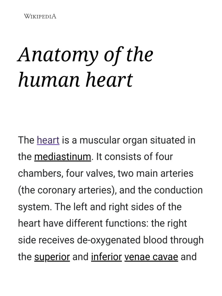 Anatomy and Functions of the Heart | PDF | Coronary Circulation | Heart ...
