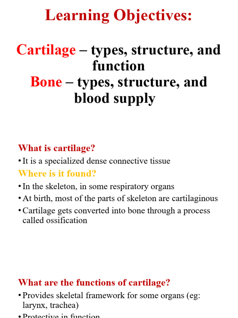 Cartilage and Bone - by Dr. Satheesha Nayak | PDF | Bone | Cartilage