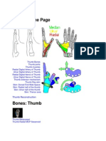 Thumb Home Page: Anatomi Jari