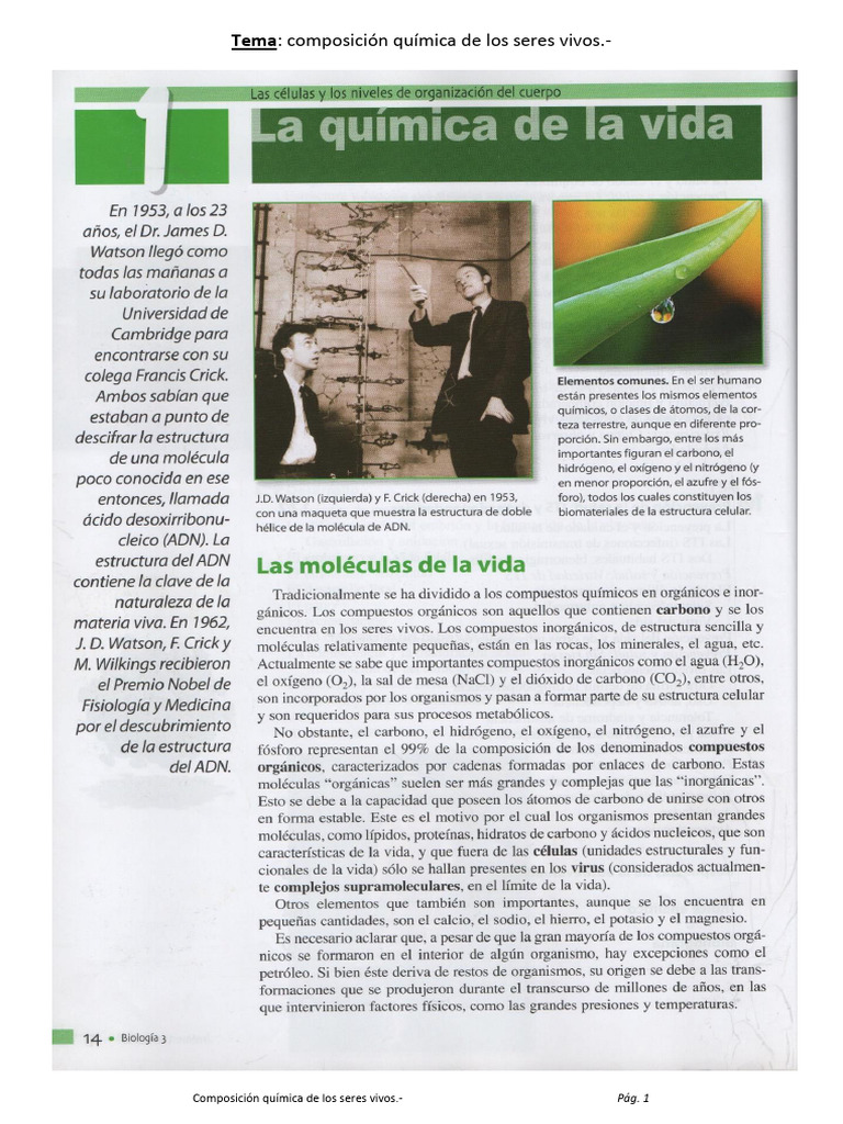 Composicion Quimica de Los Seres Vivos. | PDF