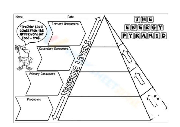 Format To Make The Pyramid | PDF