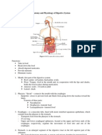 Anatomy and Physiology of Digestive System