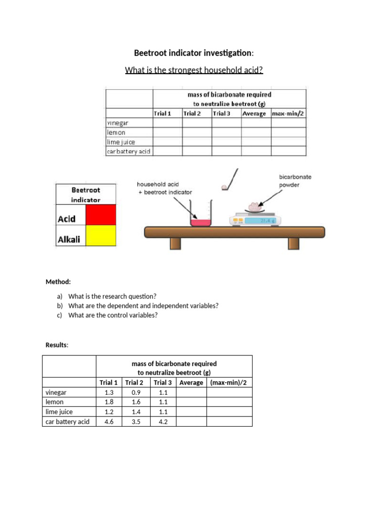 Beetroot Investigation Worksheet | PDF