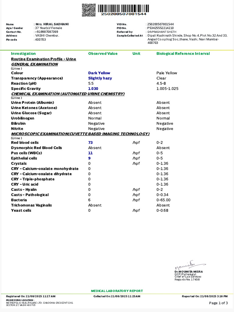 Urine and CBC Lab Report for Hiral Sadhani | PDF | White Blood Cell ...