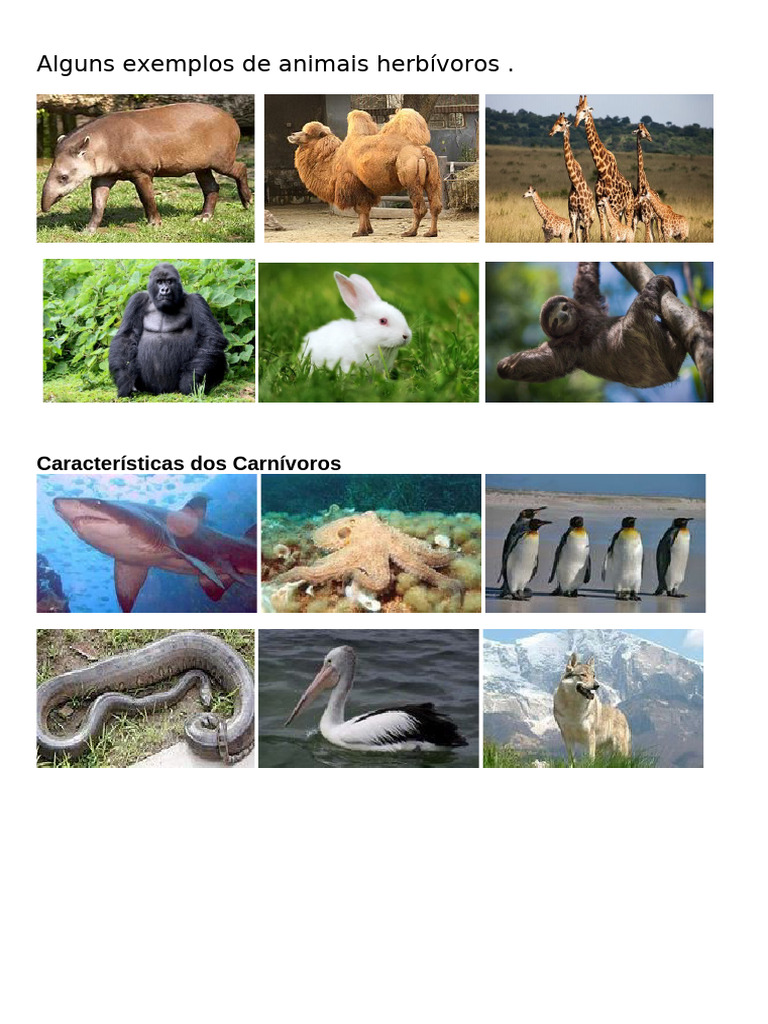 Alguns Exemplos de Animais Herbívoros | PDF