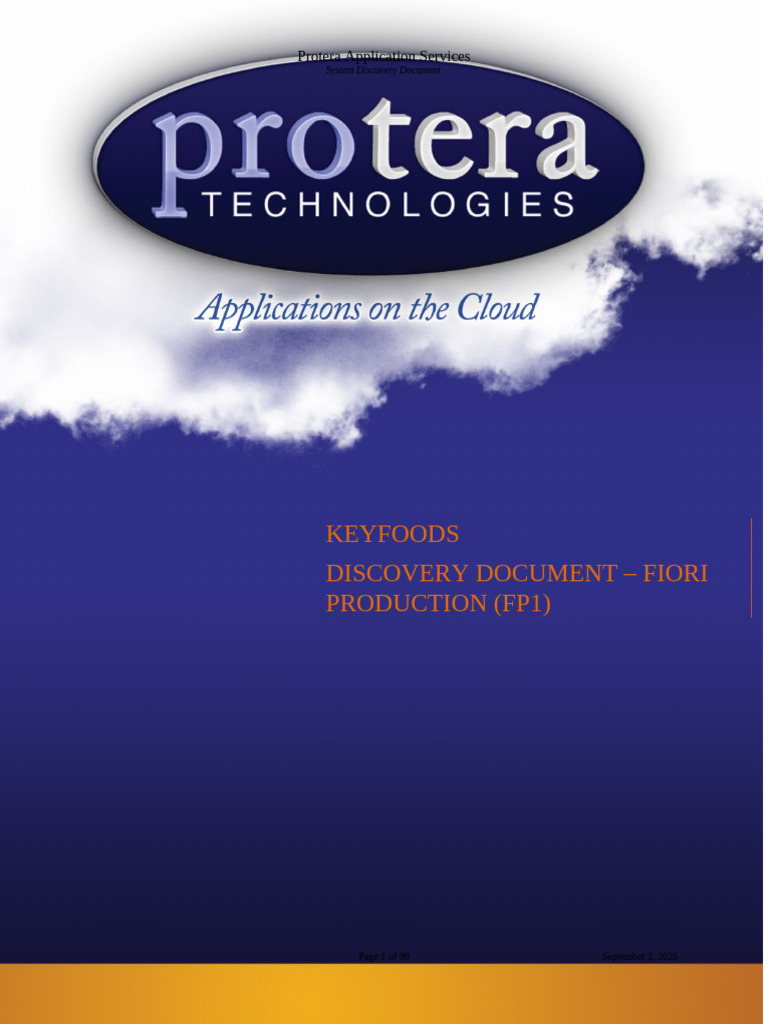 Protera FIORI System Discovery Report | PDF | Operating System ...
