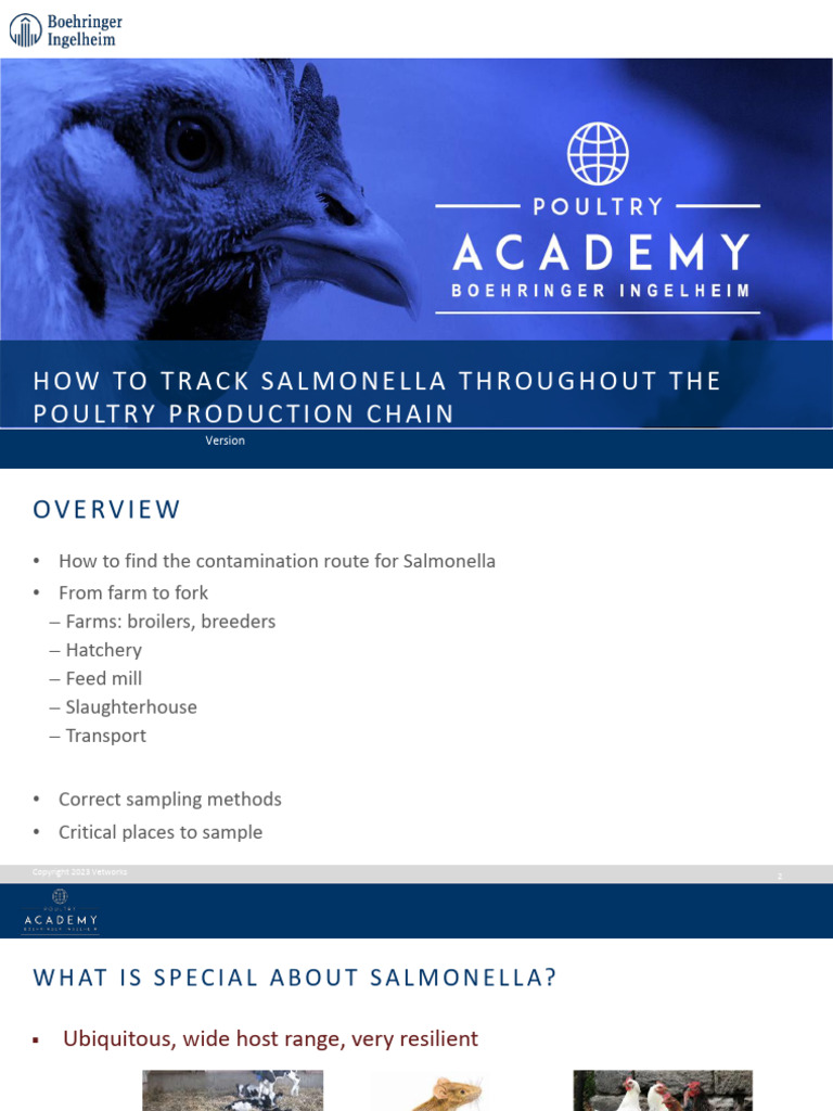 Track Salmonella in Poultry Production | PDF | Poultry Farming