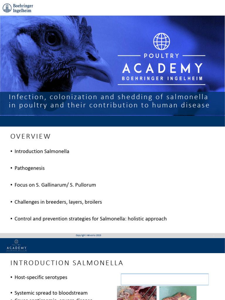 Infection, Colonization, and Shedding of Salmonella in Poultry and ...