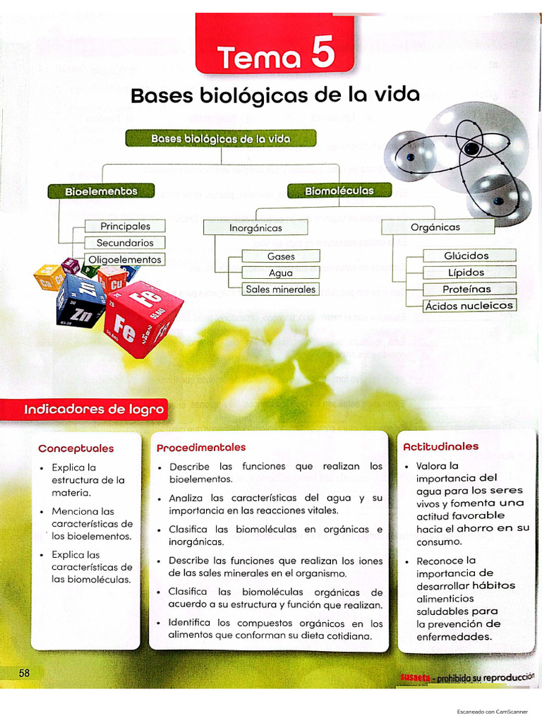 Tema N°5 Bases Biológicas de La Vida | PDF