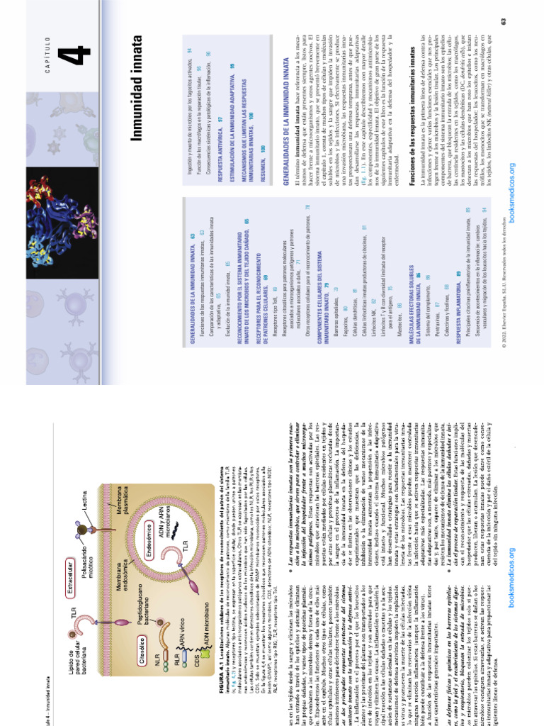 Abbas c4 | PDF