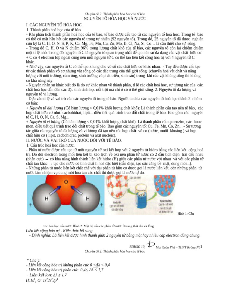 Thanh Phan Hoa Hoc Te Bao | PDF