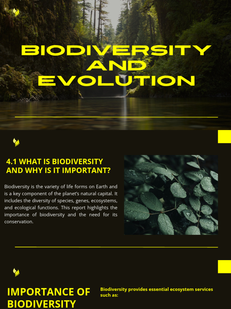 Biodiversity and Evolution | PDF | Natural Selection | Evolution
