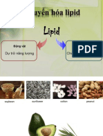 Chuyển hóa lipid