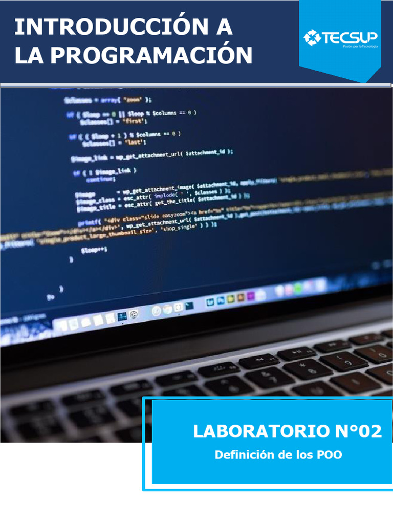 Introducción a la Programación en Python | PDF | Programación de ...