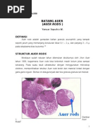 Download Auers Rod by Yanuar Saputra Widjaja SN91015881 doc pdf