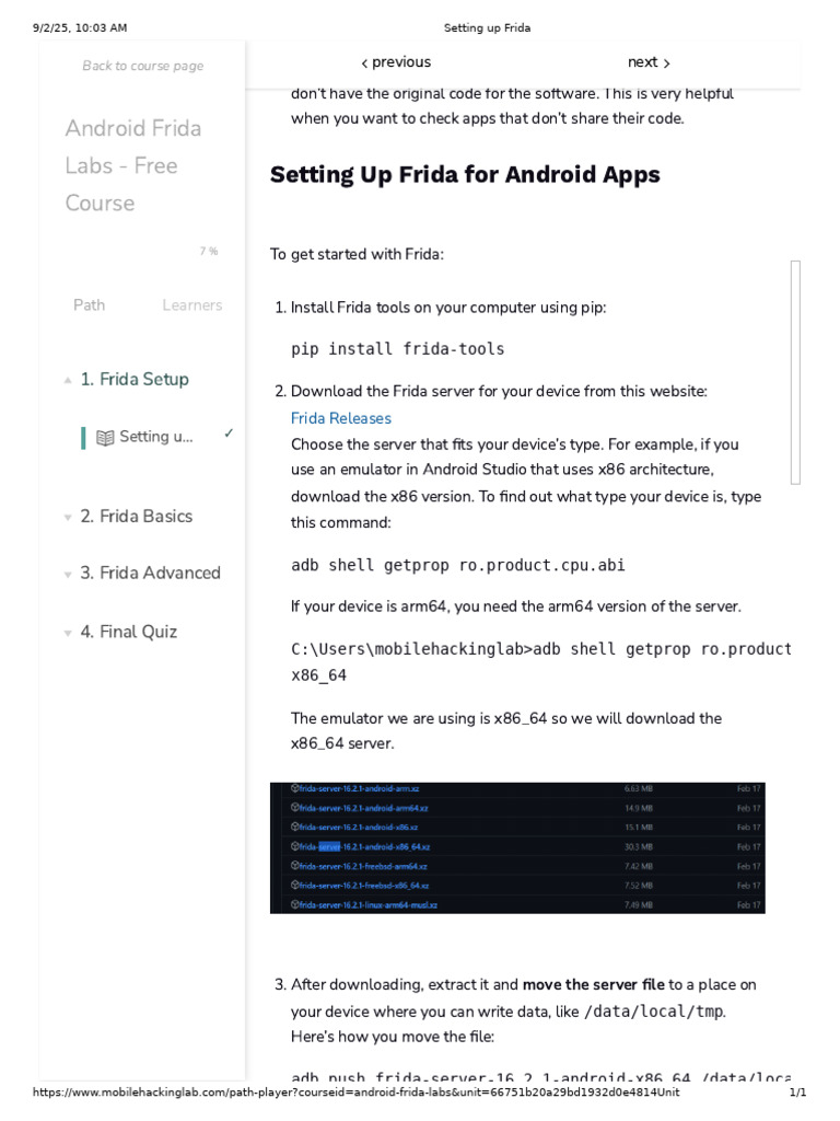 Setting Up Frida on Android Devices | PDF