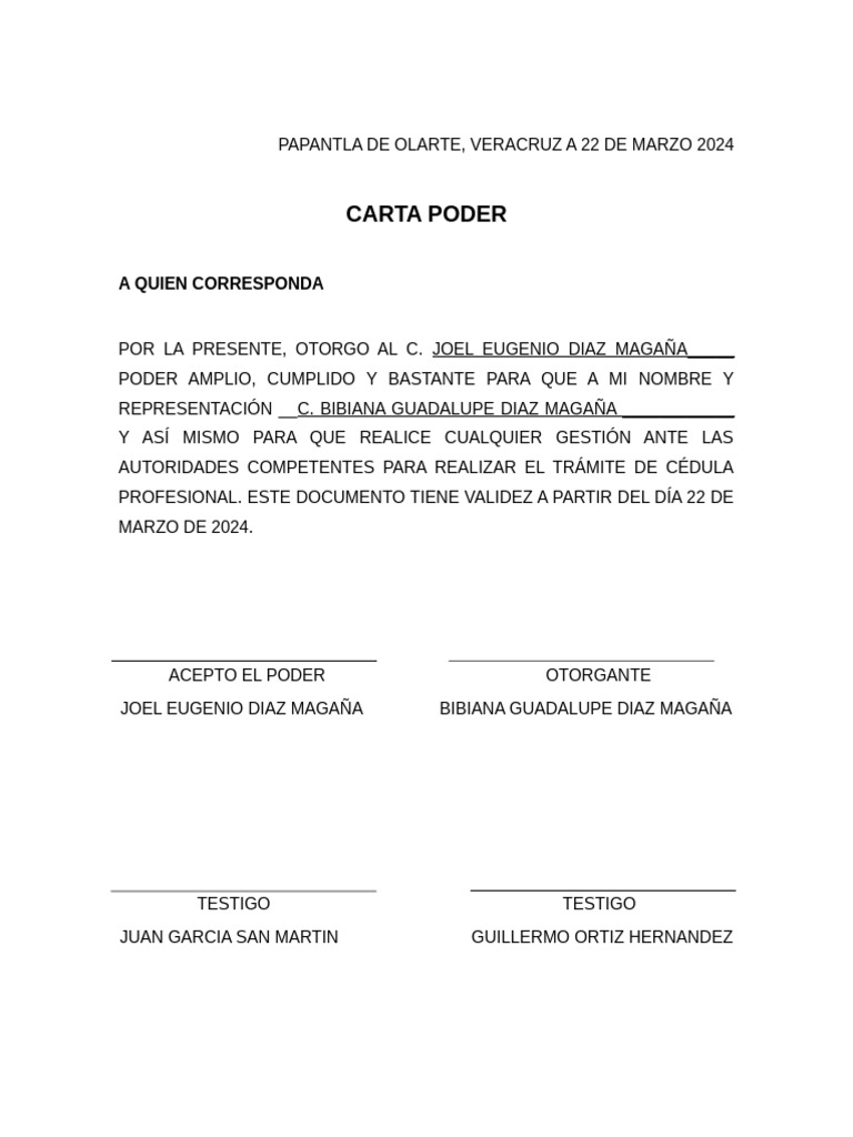 Carta Poder Simple | PDF