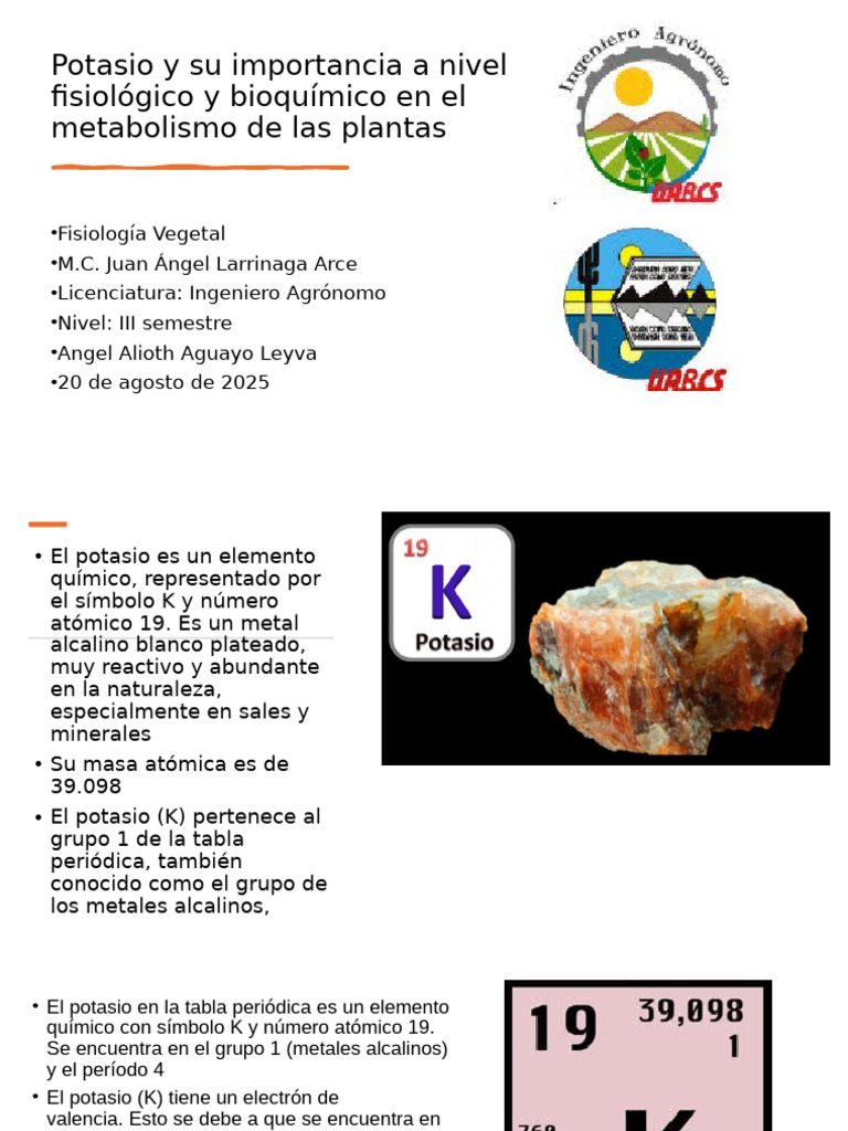 Importancia del Potasio en Plantas | PDF