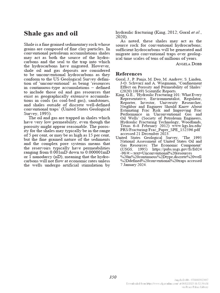 Chap 91 - Shale Gas and Oil | PDF | Shale | Petroleum