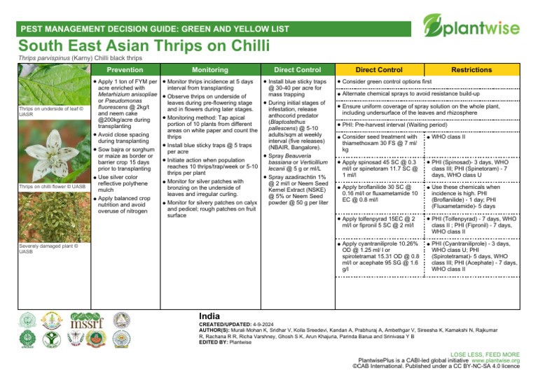 Chilli Thrips Management Guide | PDF | Plants | Botany