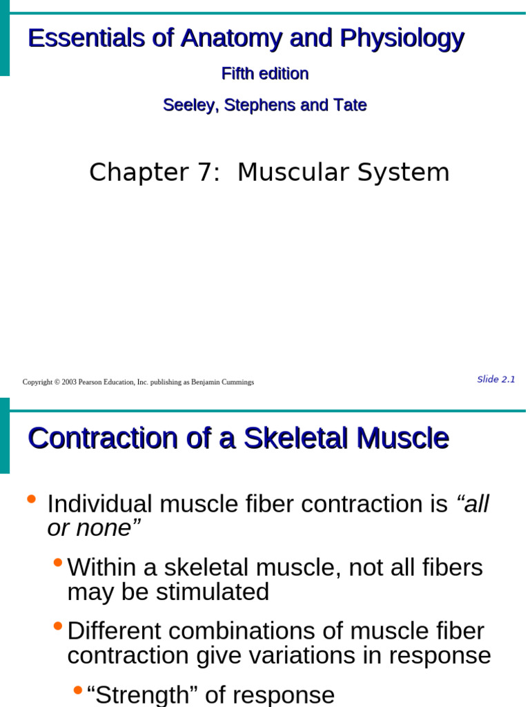 Bio221Lec11 Muscle Physio | PDF | Skeletal Muscle | Anatomical Terms Of ...