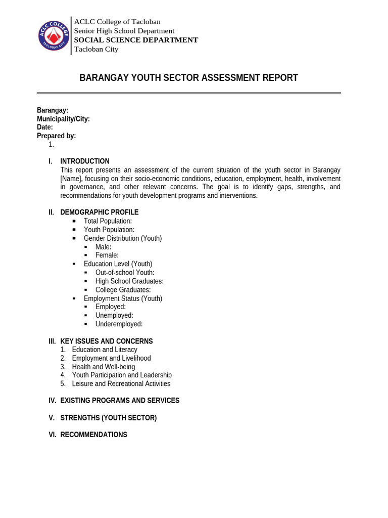 Barangay Youth Sector Assessment Report | PDF